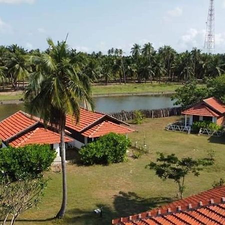 Windy Beach Cabanas Kalpitiya Exterior photo